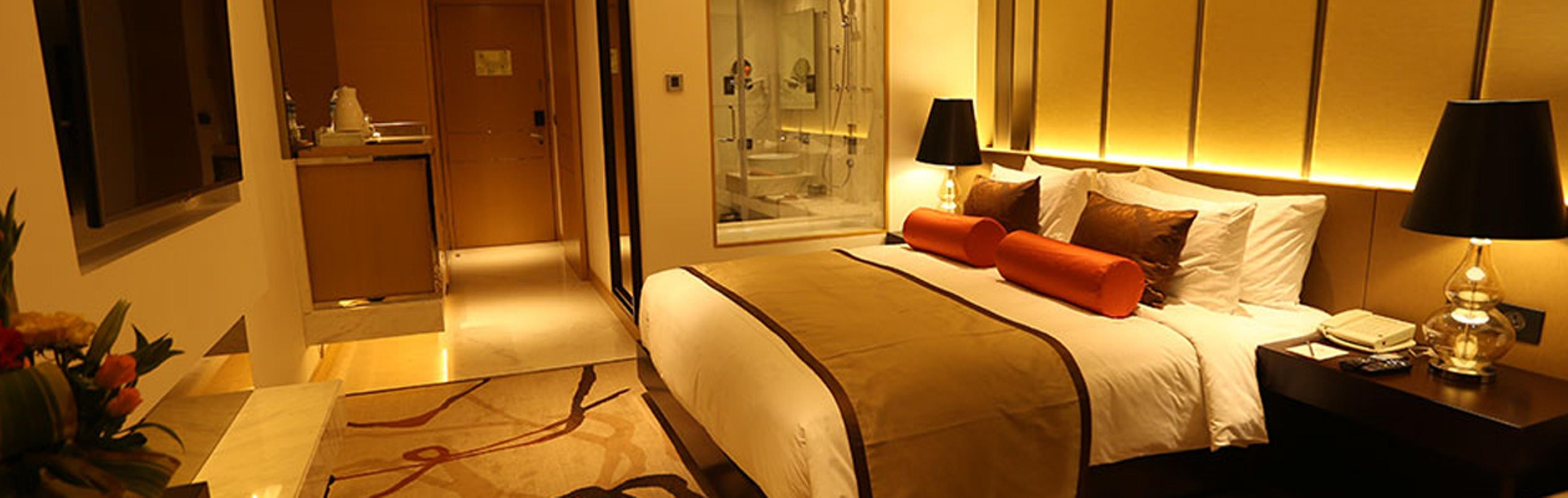 Hotel Pride Plaza Hotel, Aerocity